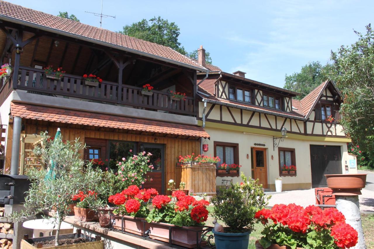 La Maison De Vacances Nothalten Exteriör bild